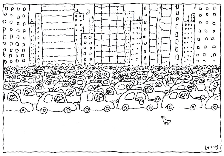 bird and cars
