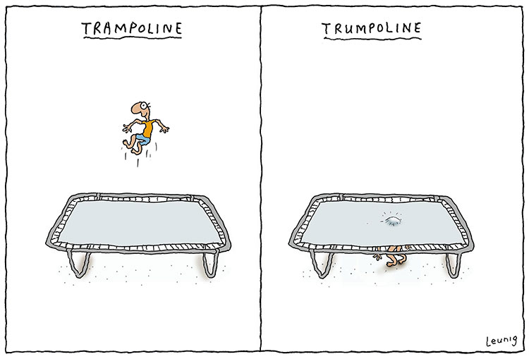 trumpoline w